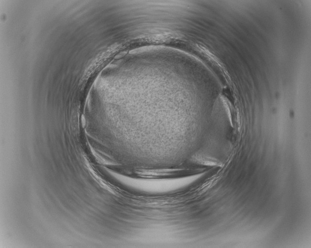 X0000052930493200507221125