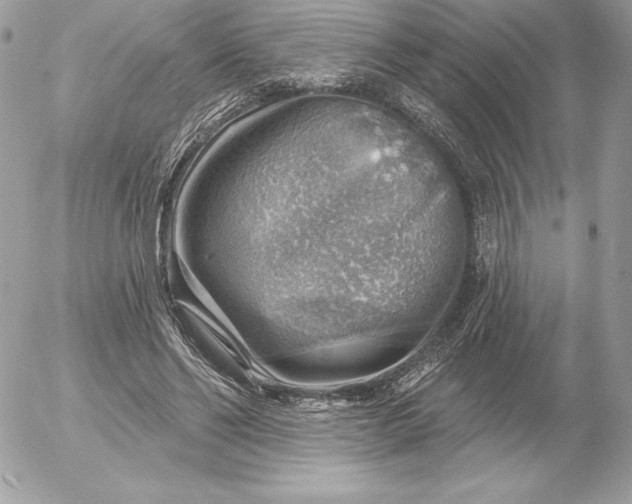 X0000052930494200507221125