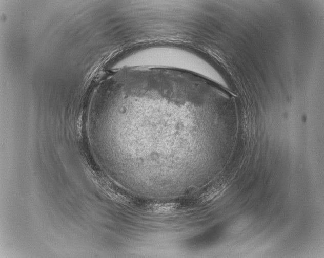 X0000052930495200507221125