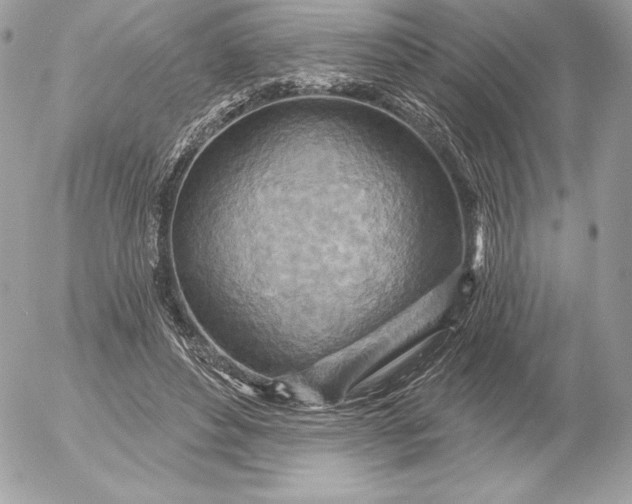 X0000052930496200507221125