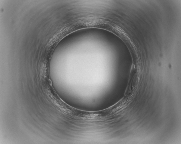 X0000052930497200507221125