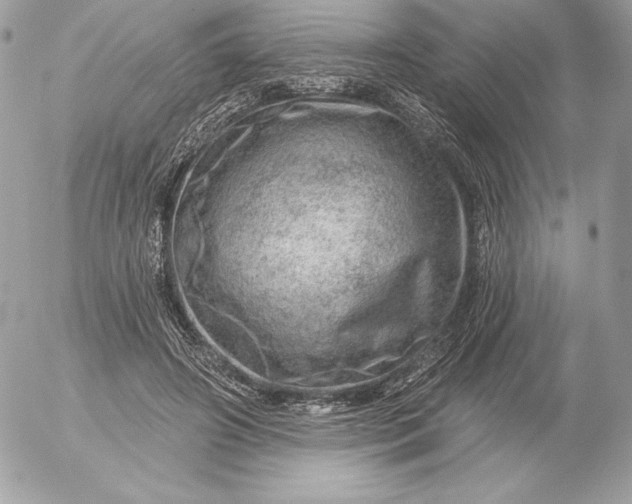 X0000052930498200507221125