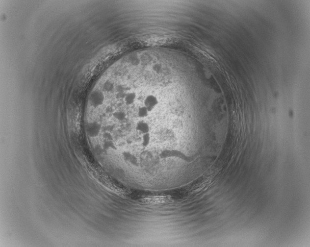 X0000052930499200507221125