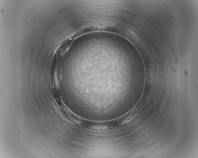 X0000052930500200507221125