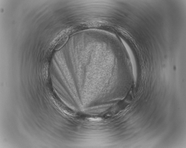 X0000052930501200507221125