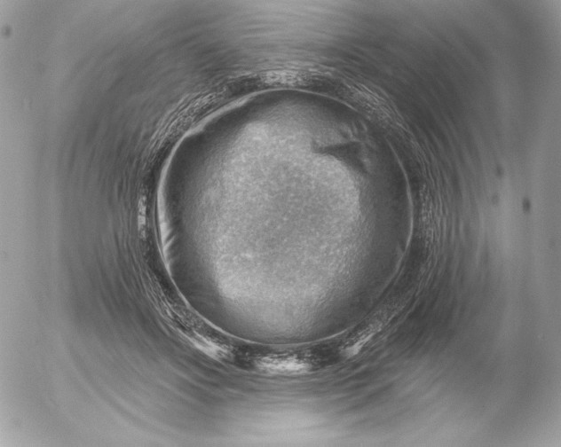 X0000052930502200507221125