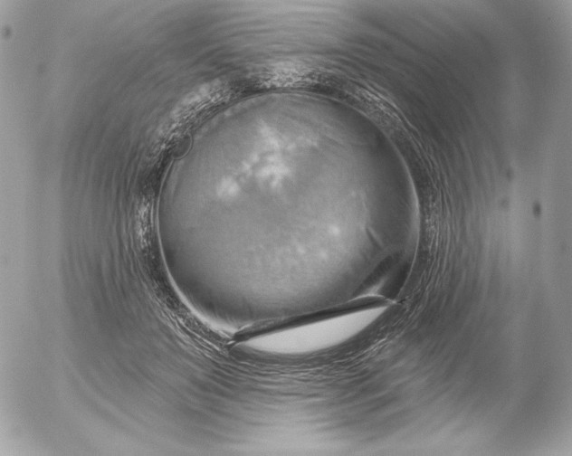 X0000052930503200507221125