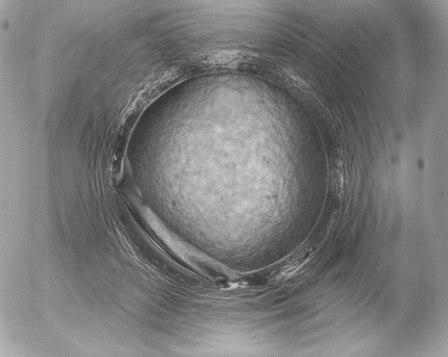 X0000052930504200507221125