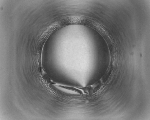 X0000052930505200507221125