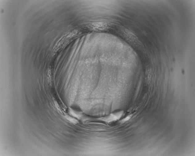 X0000052930506200507221125