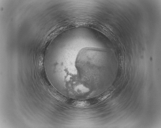 X0000052930507200507221125