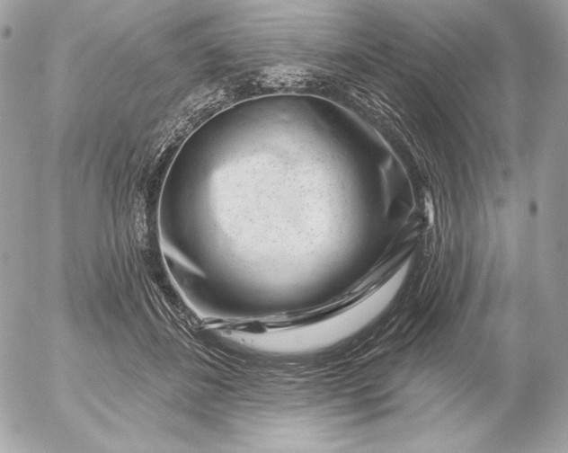 X0000052930508200507221125