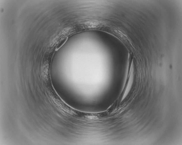 X0000052930509200507221125