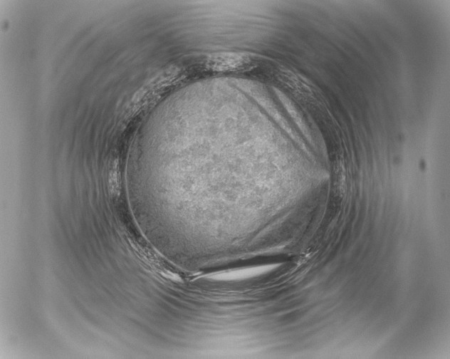 X0000052930510200507221125