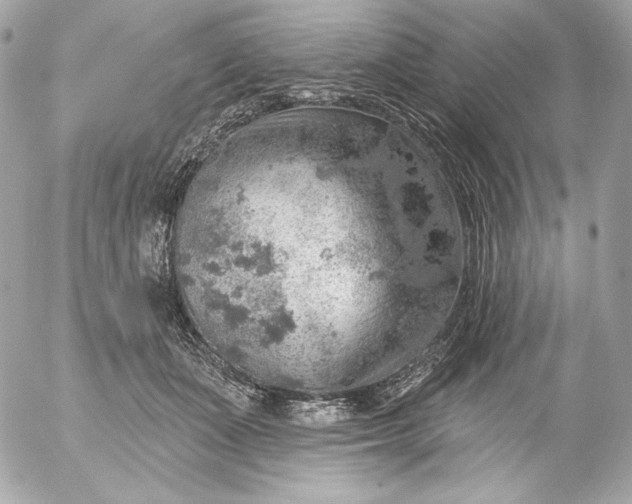 X0000052930511200507221125