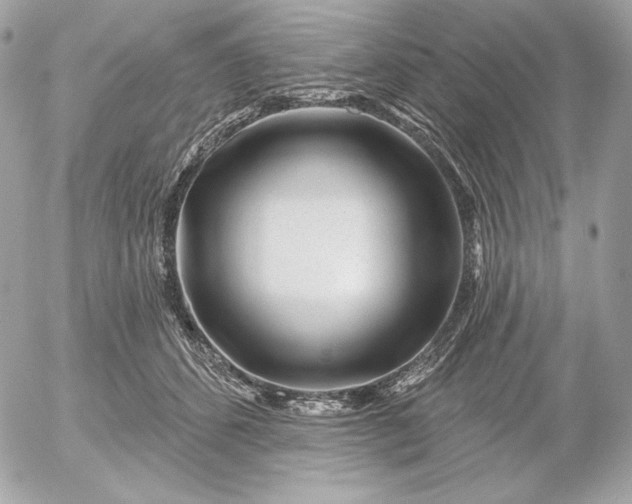 X0000052930512200507221125