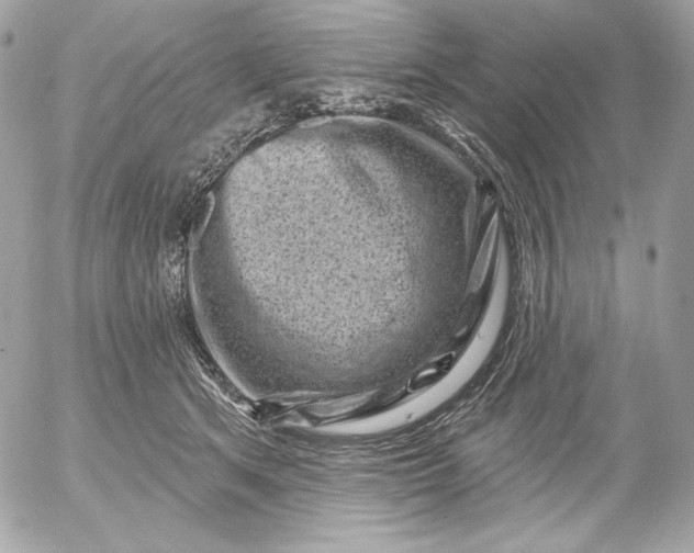 X0000052930513200507221125