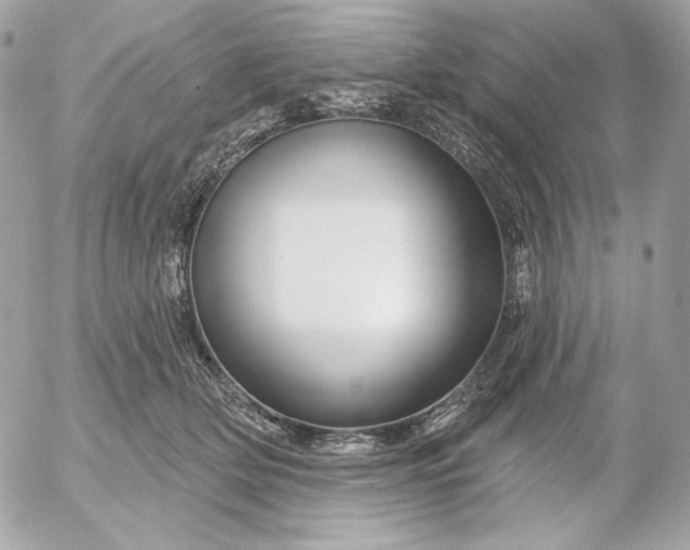 X0000052930514200507221125