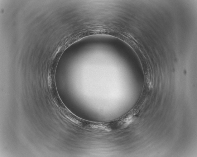 X0000052930516200507221125