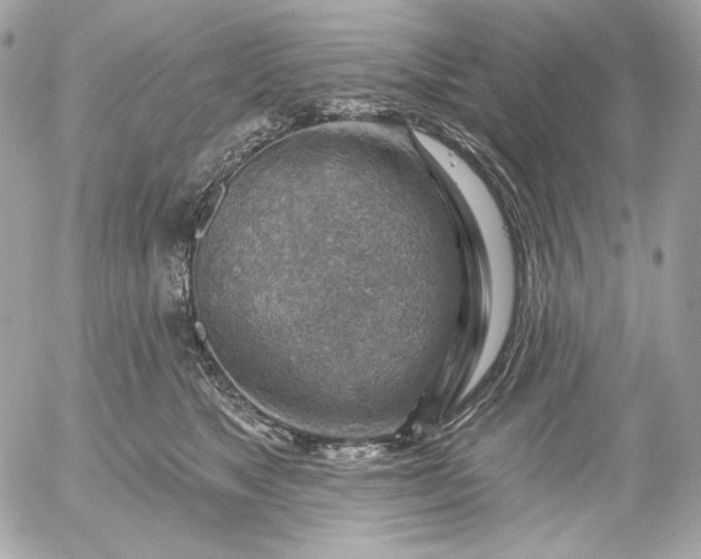 X0000052930517200507221125