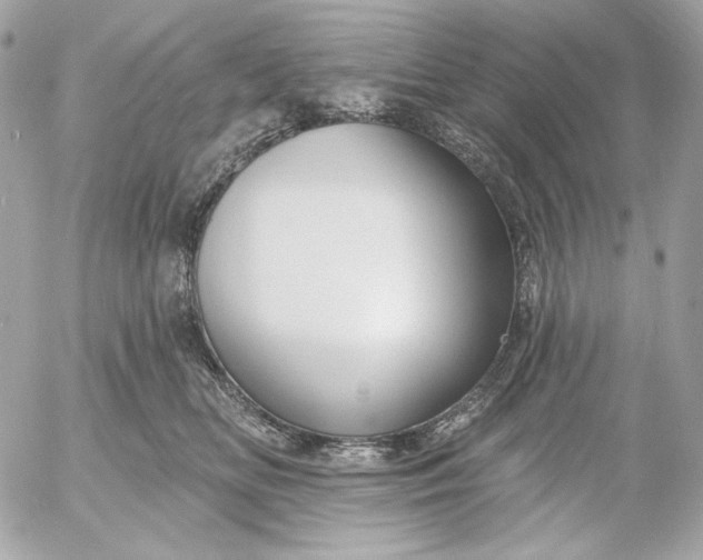 X0000052930518200507221125