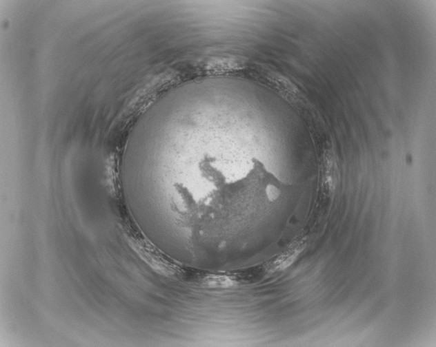 X0000052930519200507221125