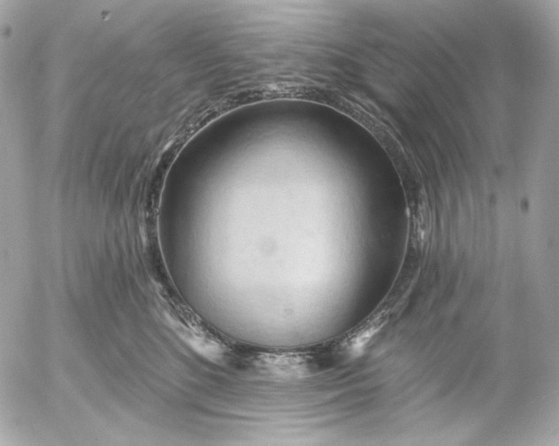 X0000052930520200507221125