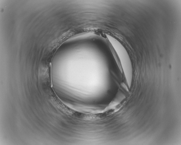 X0000052930521200507221125