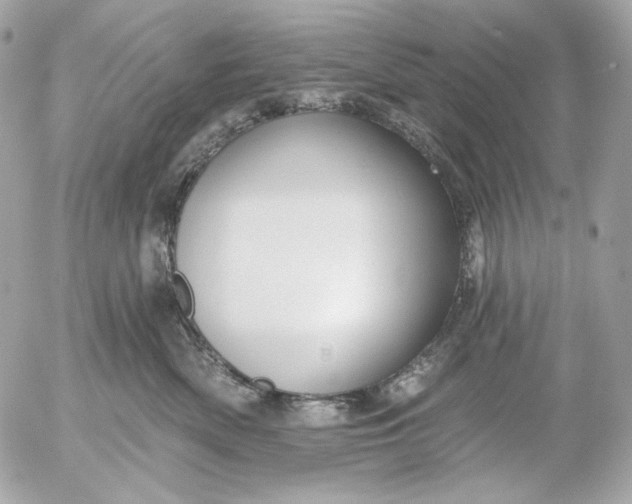 X0000052930522200507221125