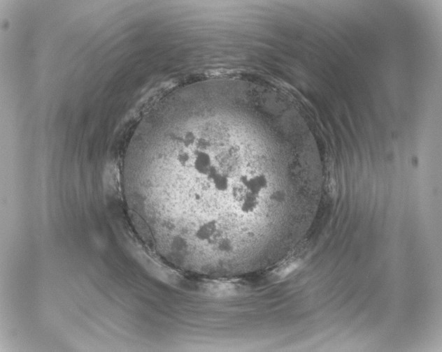 X0000052930523200507221125