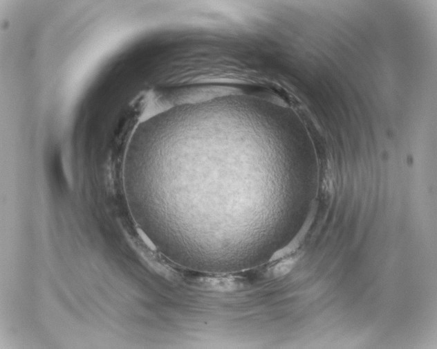 X0000052930524200507221124