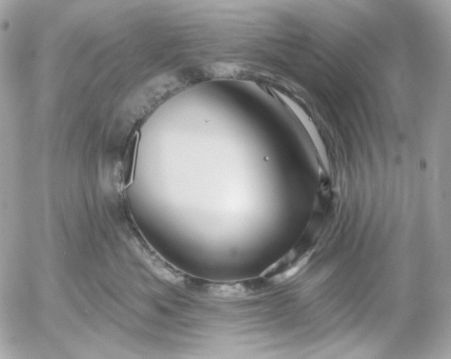 X0000052930525200507221124