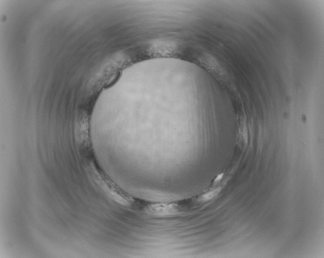 X0000052930526200507221124