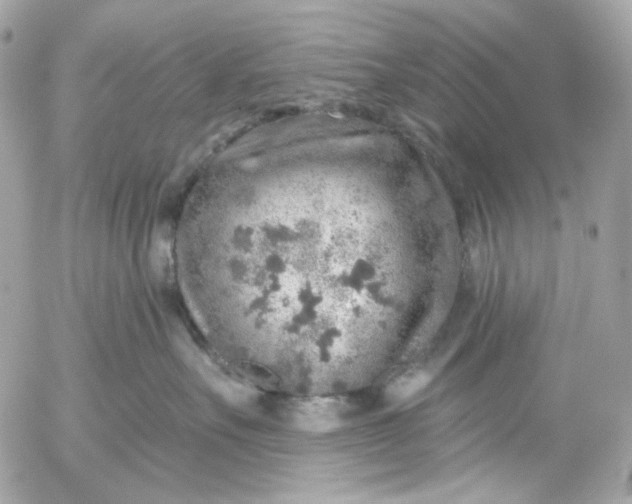 X0000052930527200507221124