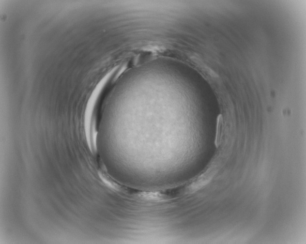 X0000052930528200507221124