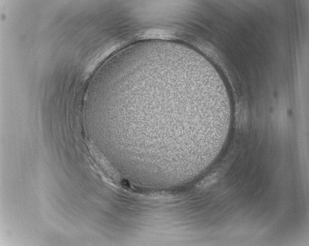 X0000052930529200507221124