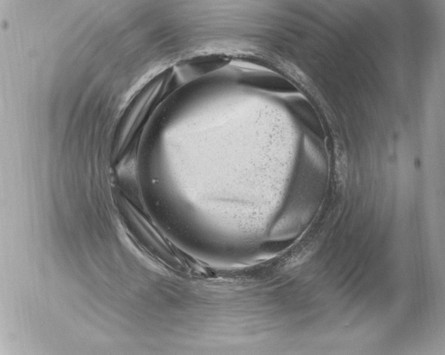 X0000052930530200507221124