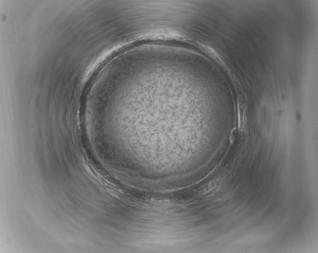 X0000052930531200507221124