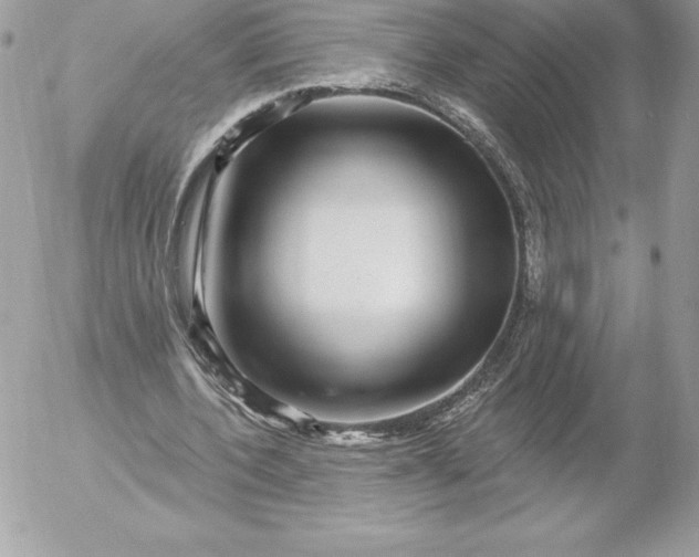 X0000052930532200507221124