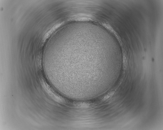 X0000052930533200507221124