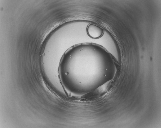 X0000052930534200507221124