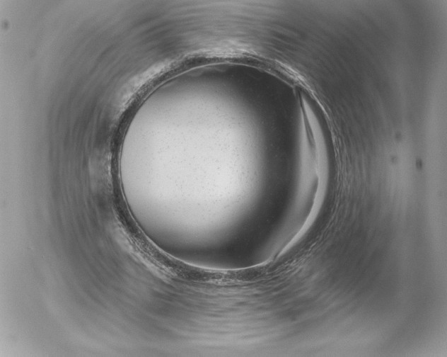 X0000052930535200507221124