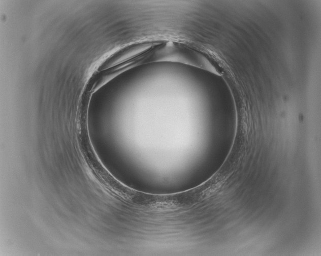 X0000052930536200507221124