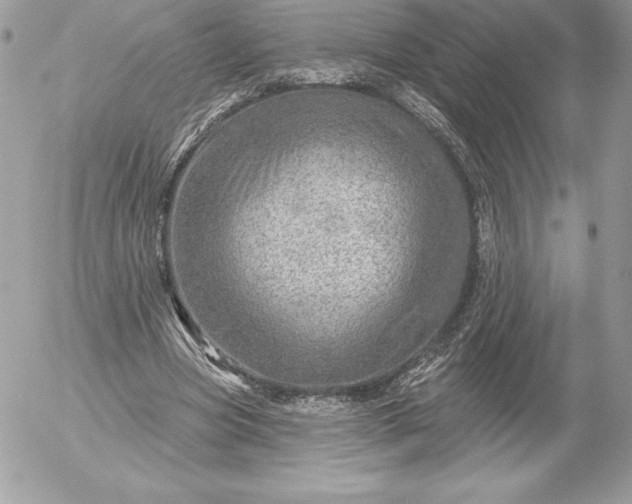 X0000052930537200507221124