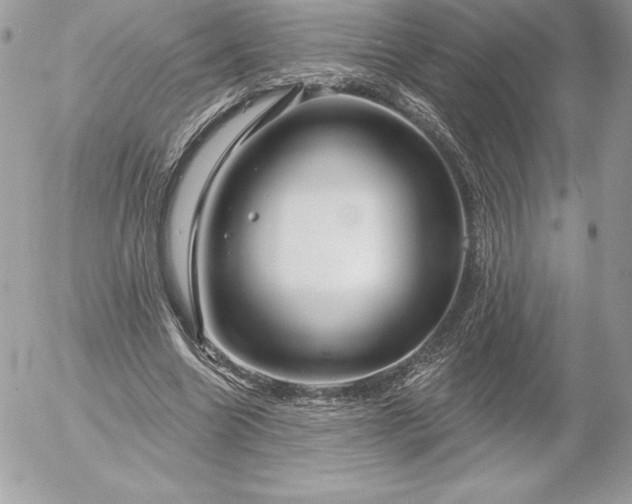 X0000052930538200507221124