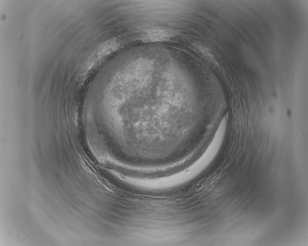 X0000052930539200507221124