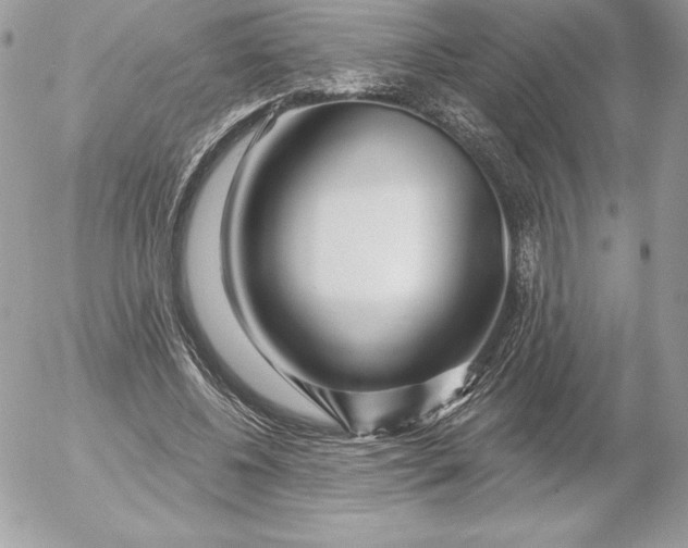 X0000052930540200507221124