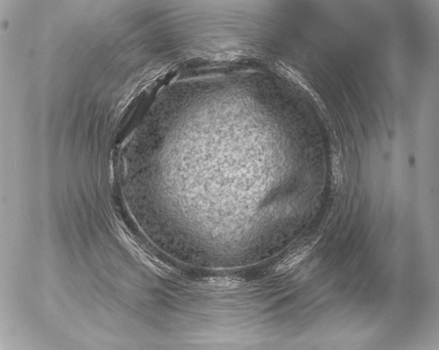 X0000052930541200507221124