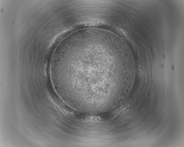 X0000052930543200507221124