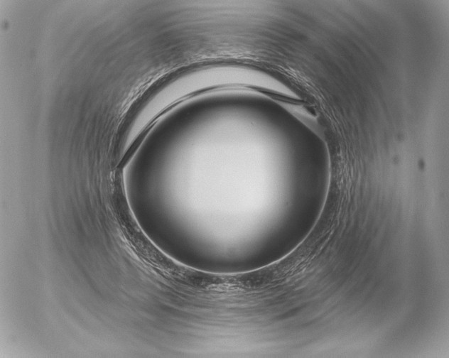 X0000052930544200507221124